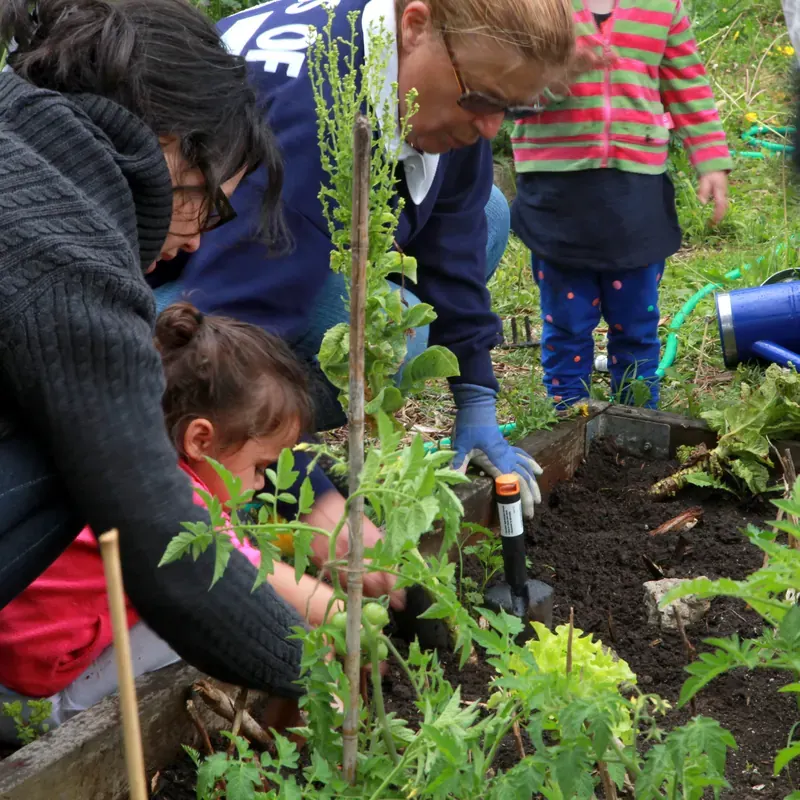 Volwassenen en kinderen planten samen groenten in een buurtmoestuin